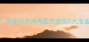 边牧能不能吃点咸资深训犬师高盐饮食的5大危害及科学喂养指南