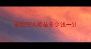 宠物狂犬疫苗多少钱一针