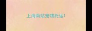 上海南站宠物托运