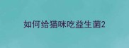 如何给猫咪吃益生菌