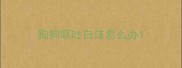 狗狗呕吐白沫怎么办