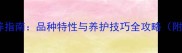 哈士奇犬饲养指南品种特性与养护技巧全攻略附最新数据