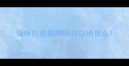 猫咪打疫苗期间可以绝育么