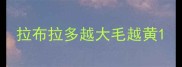 拉布拉多越大毛越黄