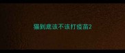 猫到底该不该打疫苗