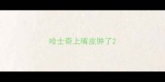 哈士奇上嘴皮肿了