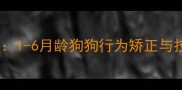 幼犬训练黄金期1-6月龄狗狗行为矫正与技能培养全攻略
