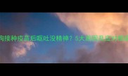 狗狗接种疫苗后呕吐没精神5大原因及应对措施全