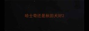 哈士奇还是秋田犬好