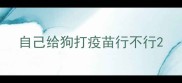 自己给狗打疫苗行不行