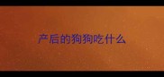 产后的狗狗吃什么