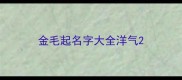 金毛起名字大全洋气
