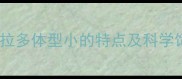 黑色拉布拉多体型小的特点及科学饲养指南