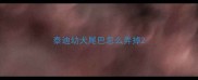泰迪幼犬尾巴怎么弄掉