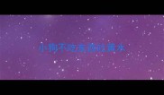 小狗不吃东西吐黄水