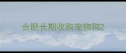 合肥长期收购宠物狗