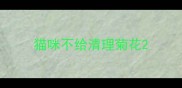 猫咪不给清理菊花