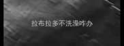 拉布拉多不洗澡咋办