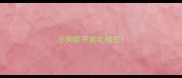 小狗能不能吃绿豆