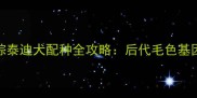 灰泰迪犬棕泰迪犬配种全攻略后代毛色基因与饲养指南