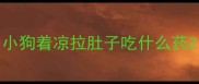 小狗着凉拉肚子吃什么药