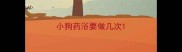 小狗药浴要做几次