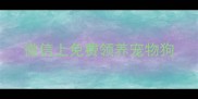 微信上免费领养宠物狗