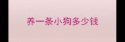 养一条小狗多少钱