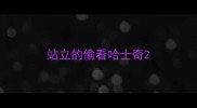 站立的偷看哈士奇