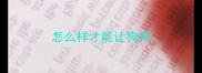 怎么样才能让狗狗