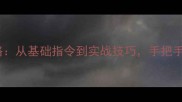 边境牧羊犬提篮子训练全攻略从基础指令到实战技巧手把手教你培养会拎包的聪明助手