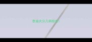 泰迪犬分几种颜色