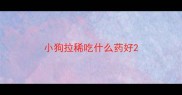 小狗拉稀吃什么药好