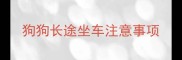 狗狗长途坐车注意事项