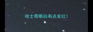 哈士奇眼白有点发红