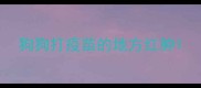 狗狗打疫苗的地方红肿