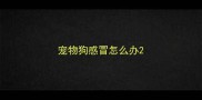 宠物狗感冒怎么办