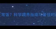 小狗几个月开始吃正常饭科学喂养指南与最佳时间表附阶段食谱