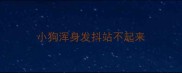 小狗浑身发抖站不起来