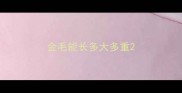 金毛能长多大多重