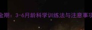 边牧幼犬训练黄金期3-6月龄科学训练法与注意事项附实操指南
