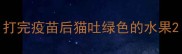 打完疫苗后猫吐绿色的水果