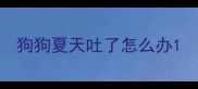 狗狗夏天吐了怎么办