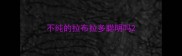 不纯的拉布拉多聪明吗