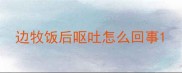 边牧饭后呕吐怎么回事