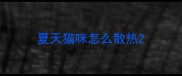 夏天猫咪怎么散热