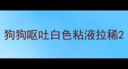 狗狗呕吐白色粘液拉稀