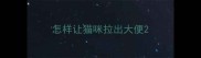 怎样让猫咪拉出大便