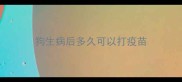 狗生病后多久可以打疫苗