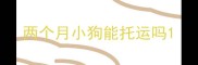 两个月小狗能托运吗
